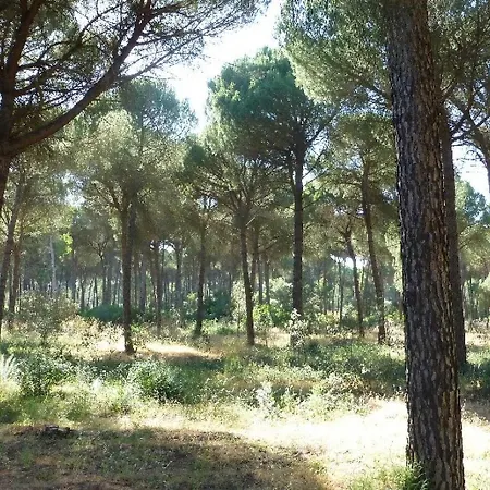 La De La Reina * El Rocio
